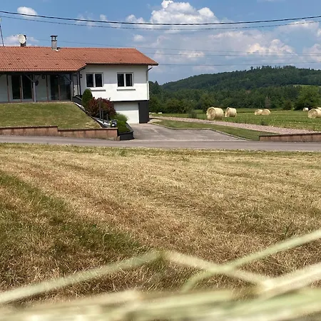 Maison Spacieuse Avec Spa, Animaux Acceptes, Pres D'epinal Landhaus Dounoux