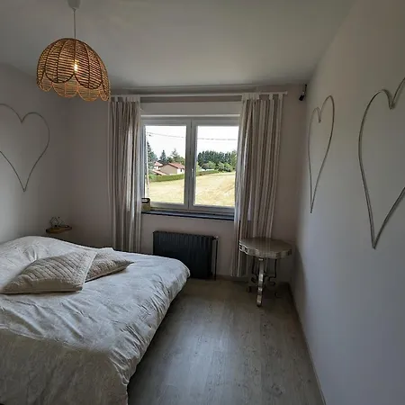 Maison Spacieuse Avec Spa, Animaux Acceptés, Près D'épinal - Fr-1-589-680 *