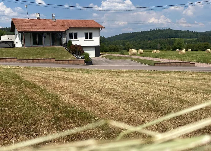 Maison Spacieuse Avec Spa, Animaux Acceptes, Pres D'epinal - Fr-1-589-680 Semesterbostad Dounoux