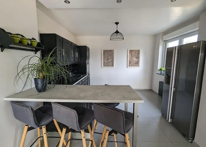 Semesterbostad Maison Spacieuse Avec Spa, Animaux Acceptes, Pres D'epinal - Fr-1-589-680